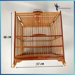 Lồng chim chào mào tự ráp, lồng chào mào giá rẻ chất liệu tre già sử lý không mối mọt