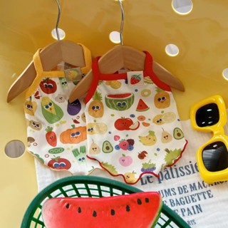 Áo Vest làm mát cho thú cưng cho chó và mèo nhỏ - Áo quây mỏng không tay mùa hè, điều khiển rụng cho chó con (Bichon Frise)