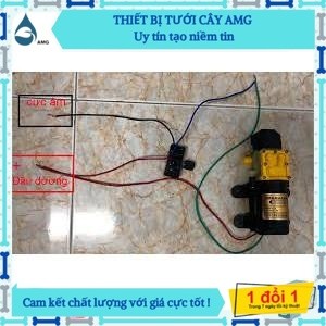 Bộ điều tốc 12v  - Chiết áp điều tốc 12v