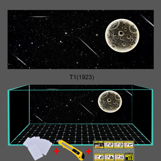   Tặng Đồ Dán+Sticker  Tranh 3D dán hồ cá 3D Decal 4 lớp mã 1923 tranh bể cá siêu đẹp - Sắc Nét 