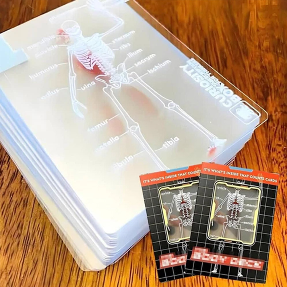 Human Anatomy Playing Cards The Body Deck Funny Transparent Human Anatomy Playing Cards Board Game