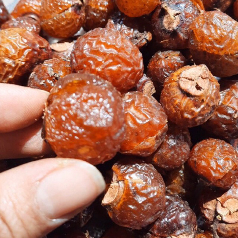 Bồ hòn tách hạt 1kg (vụ mới,loại nhiều mật)( có video Va hướng dẫn )