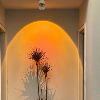 Đèn hoàng hôn, đèn rọi chiếu tranh decor xoay 350 độ gắn trần gắn tường
