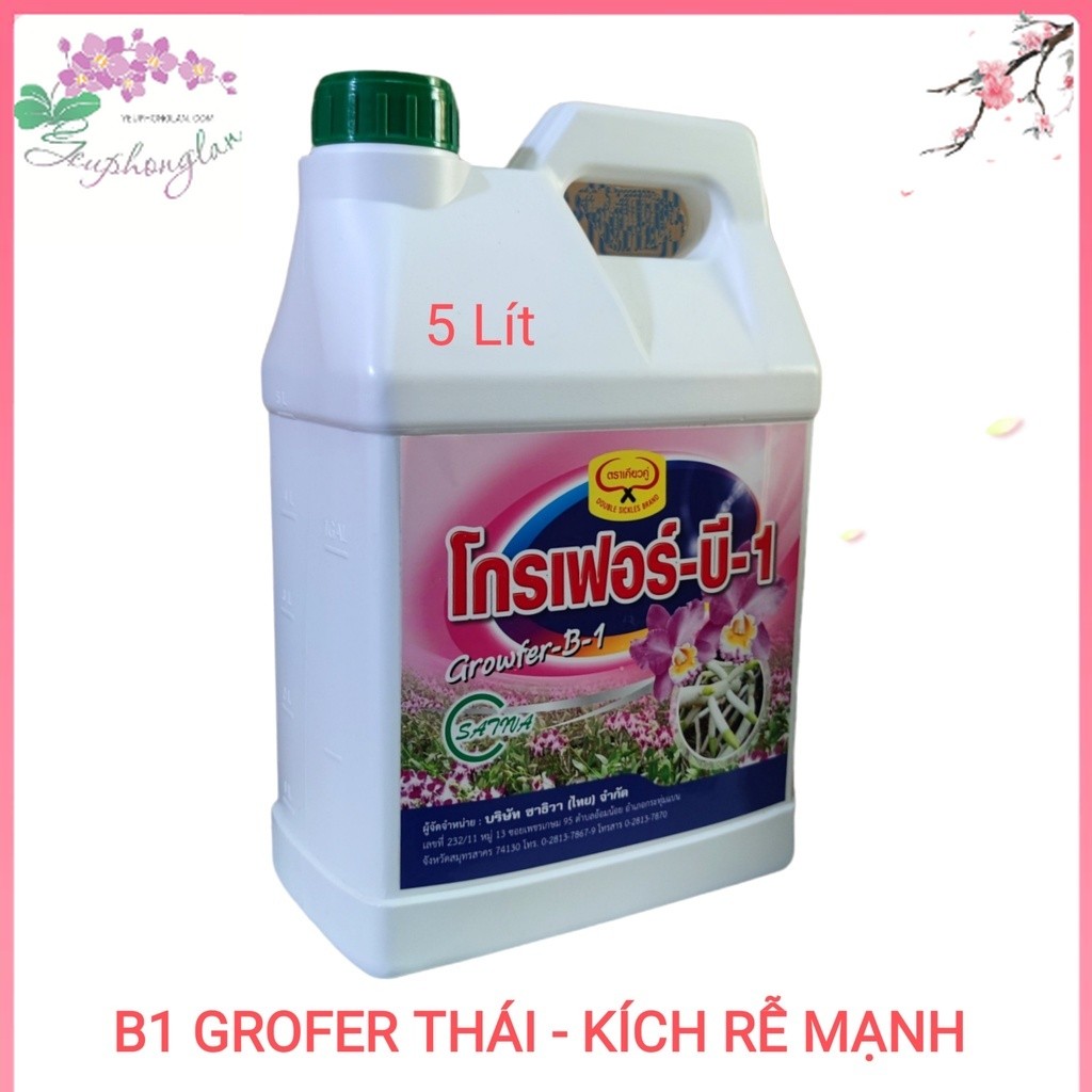 Phân bón lá B1 Grofer Thái Lan  kích rễ, bật mầm, can 5 lít - Mẫu mới nhất