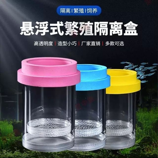 Guppy Breeding Can Fish Tank Isolation Box Nữ Fish Delivery Room Set Hộp ấp thử nghiệm nổi liuquming