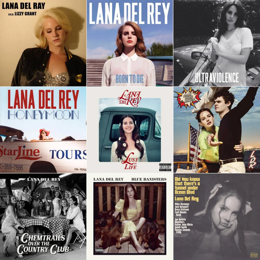 LANA DEL REY cd cds - NFR Lust for life Born To Die Chemtrails Violet Honeymoon Blue Banisters Did Y