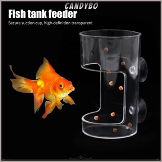 Vòng ăn bể cá CANDYBO, Khay ăn cá điểm cố định trong suốt, Cốc hút Khay đựng thức ăn nổi Acrylic bền bỉ cho tôm cá cho tôm