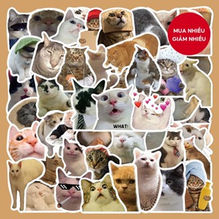 Bộ 50 Hài Hước Và Quirky Mèo Series Graffiti Dán Cho Vali Điện Thoại Di Động Ốp Lưng Laptop Mũ Bảo Hiểm Ván Trượt Chống Thấm Nước Trang Trí Dán DIY Sáng Tạo