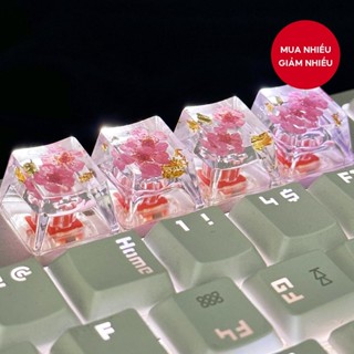 1 Cái Bàn Phím Hoa Trong Suốt Keycap Hoa Khô Thật Hoa Mai Cơ Khí
