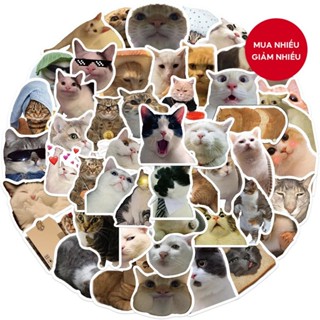 Set 50 Sticker Dán Laptop, Điện Thoại, Ván Trượt, Ván Trượt Hình Mèo Vui Nhộn