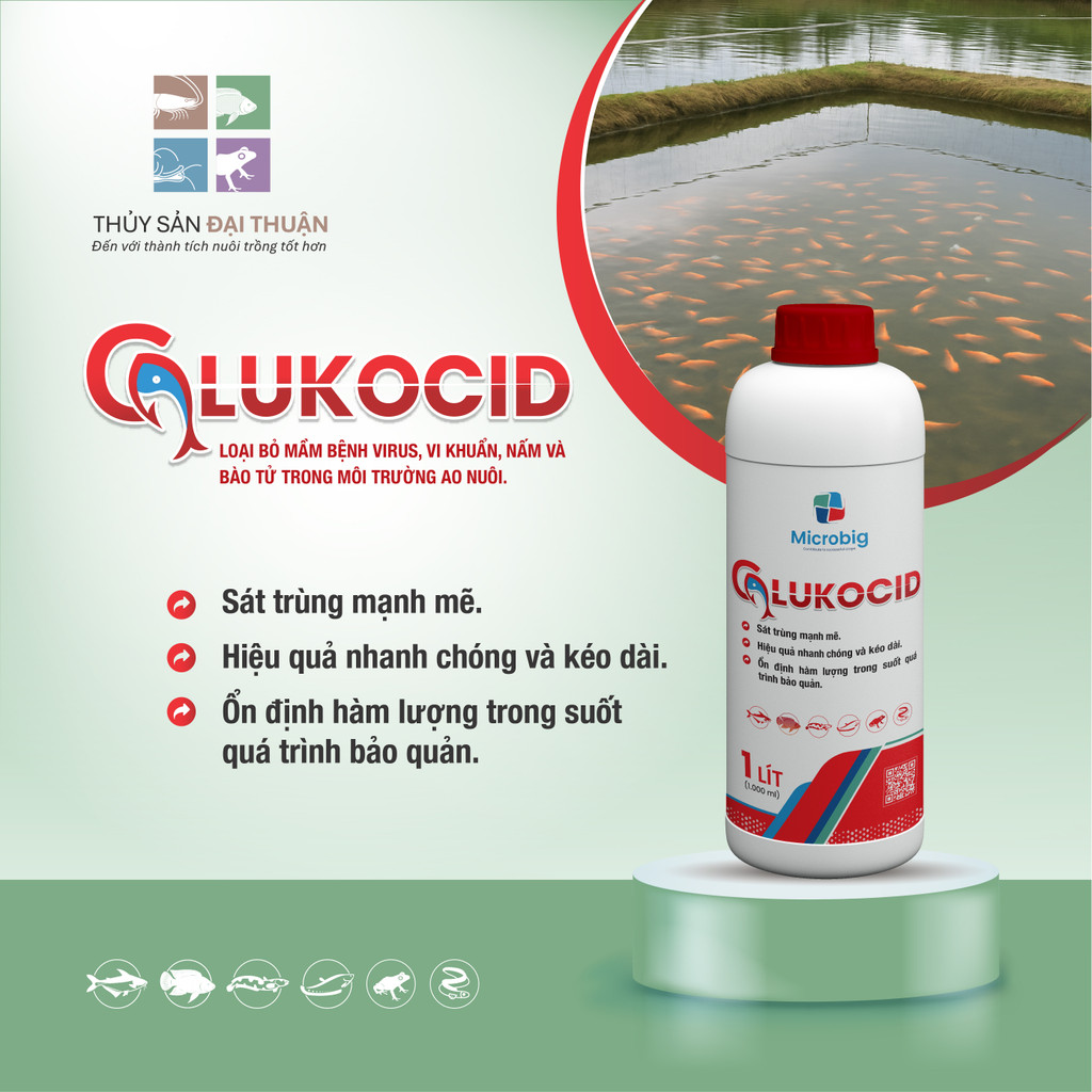 GLUKOCID - Diệt khuẩn ao cá, diệt nấm, diệt bào tử ao cá