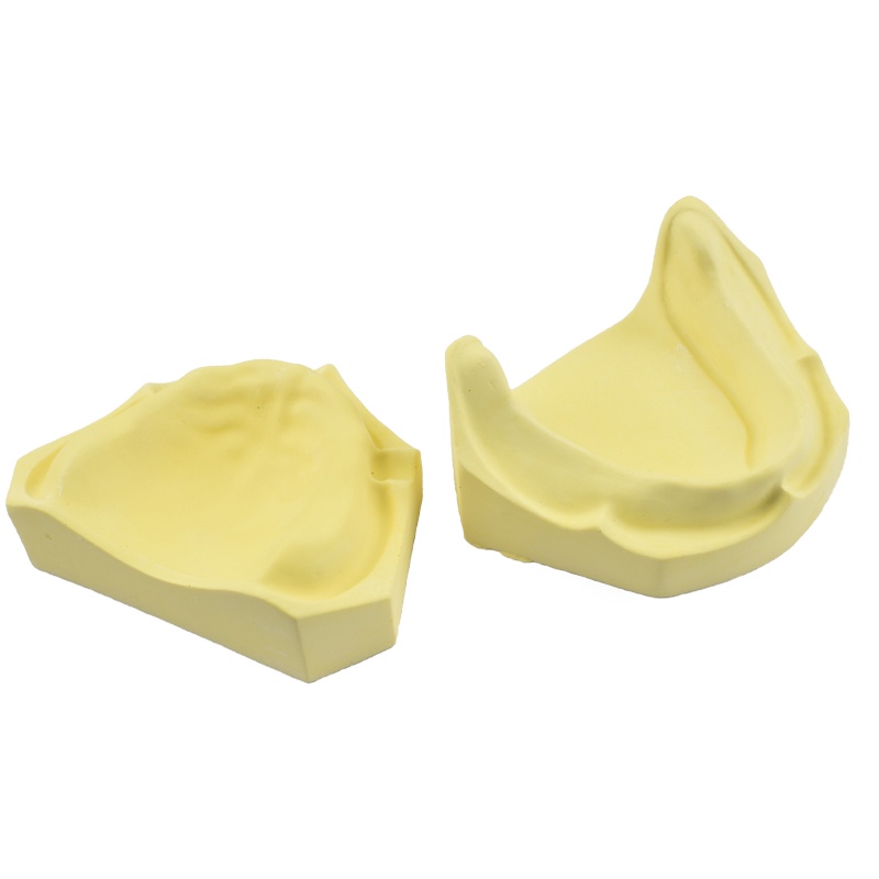 Mô Hình Răng Giả Tiêu Chuẩn gypsum Bằng Chất Liệu Răng Nanh Siêu Emydrite