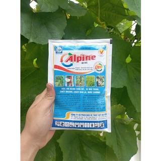 Thuốc trừ nấm bệnh alpine 80wg 100g