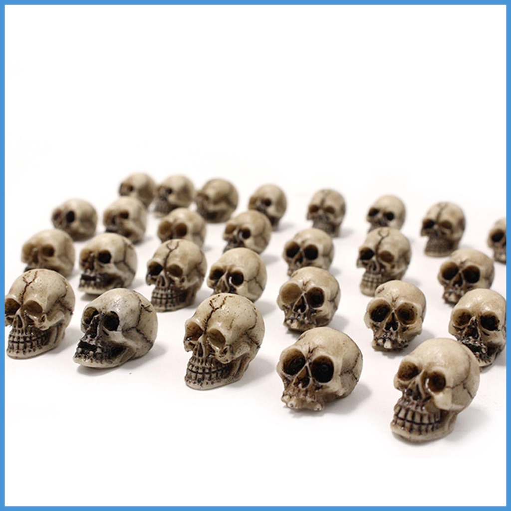 Nature Set 20 Mô Hình Bộ Xương Đầu Lâu mini Giả Dùng Làm Đạo Cụ Chụp Ảnh