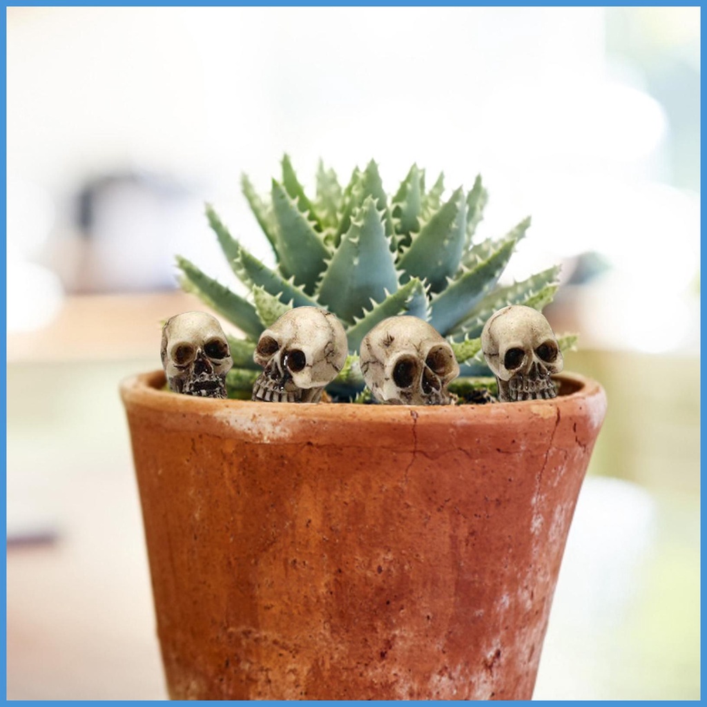 Nature Set 20 Mô Hình Bộ Xương Đầu Lâu mini Giả Dùng Làm Đạo Cụ Chụp Ảnh