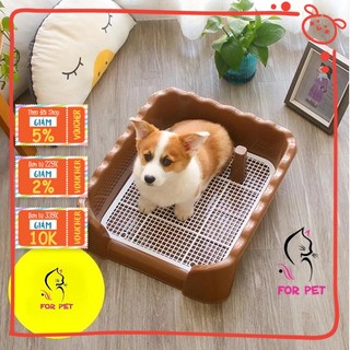 🌟 khay vệ sinh thành cao cho chó-khay vệ sinh cho thú cưng.