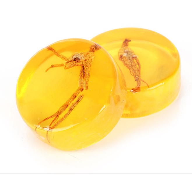 Xà Phòng Nhân Sâm Làm Sạch Da, Dưỡng Ẩm, Sáng Da Sophora Flavescens 100g