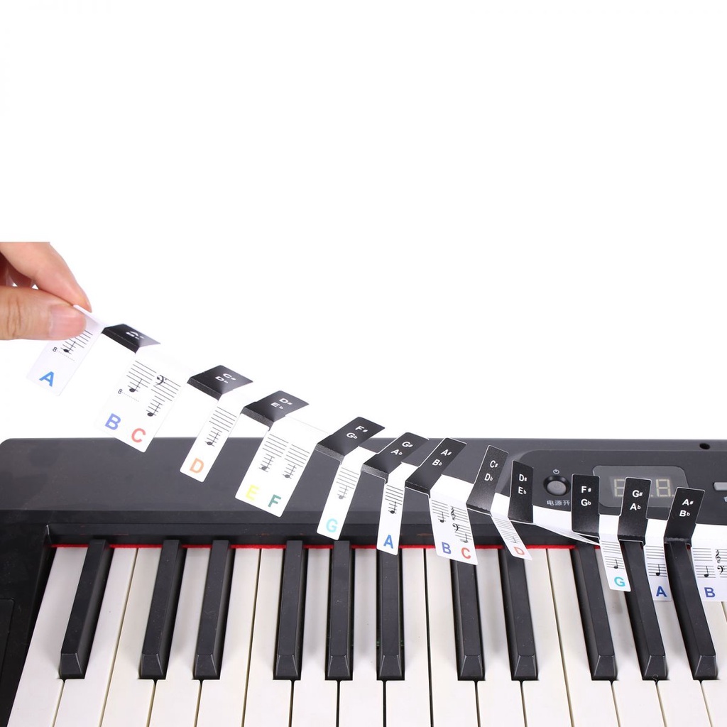 Đàn piano 88 Phím Ghi Chú Cho Người Mới Bắt Đầu