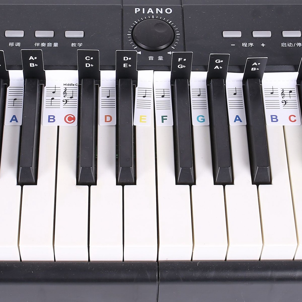 Đàn piano 88 Phím Ghi Chú Cho Người Mới Bắt Đầu