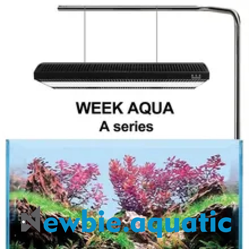 Đèn WEEK AQUA A430 PRO RGB-UV cho bể thuỷ sinh