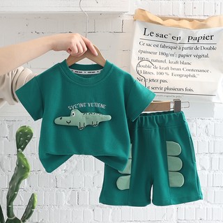 Bộ Quần Áo Gồm 2 Món Áo Thun cotton Mùa Hè Và Quần Ngắn Dành Cho Trẻ Em