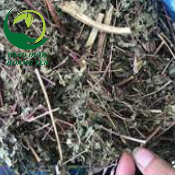 Cây đuôi chuột khô 1kg