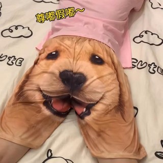 🐶Chất lượng tốt🐶 short Pijama Vàng retriever Phong Cách Vui Nhộn Sáng Tạo Vui Nhộn Dễ Thương Cho Cặp Đôi Bạn Trai