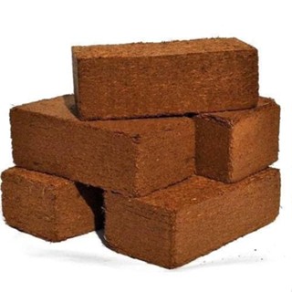 COMBO 5 VIÊN NÉN SƠ DỪA HỮU CƠ - SHOP QUỲNH NGA