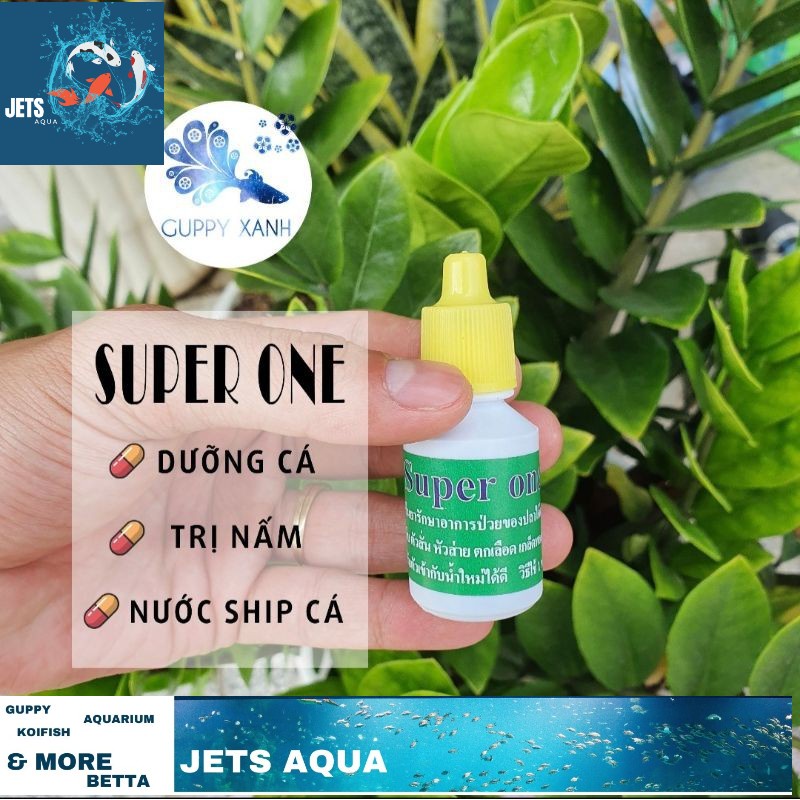 Nước dưỡng cá super one thái lan