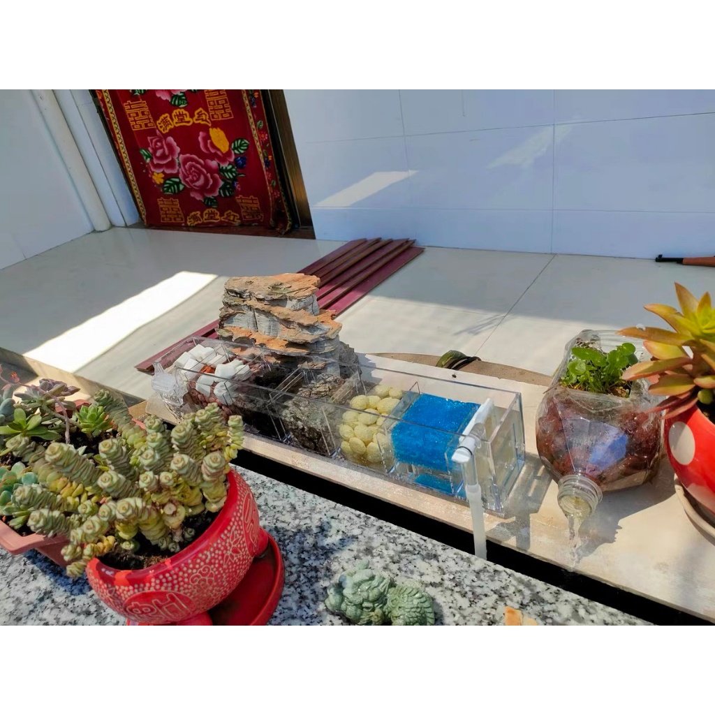 Lọc Tràn Jeneca Kèm Máy Bơm Có Móc Treo Tiện Lợi, Gác hoặc Treo Thành Hồ Cá, Hồ Mini