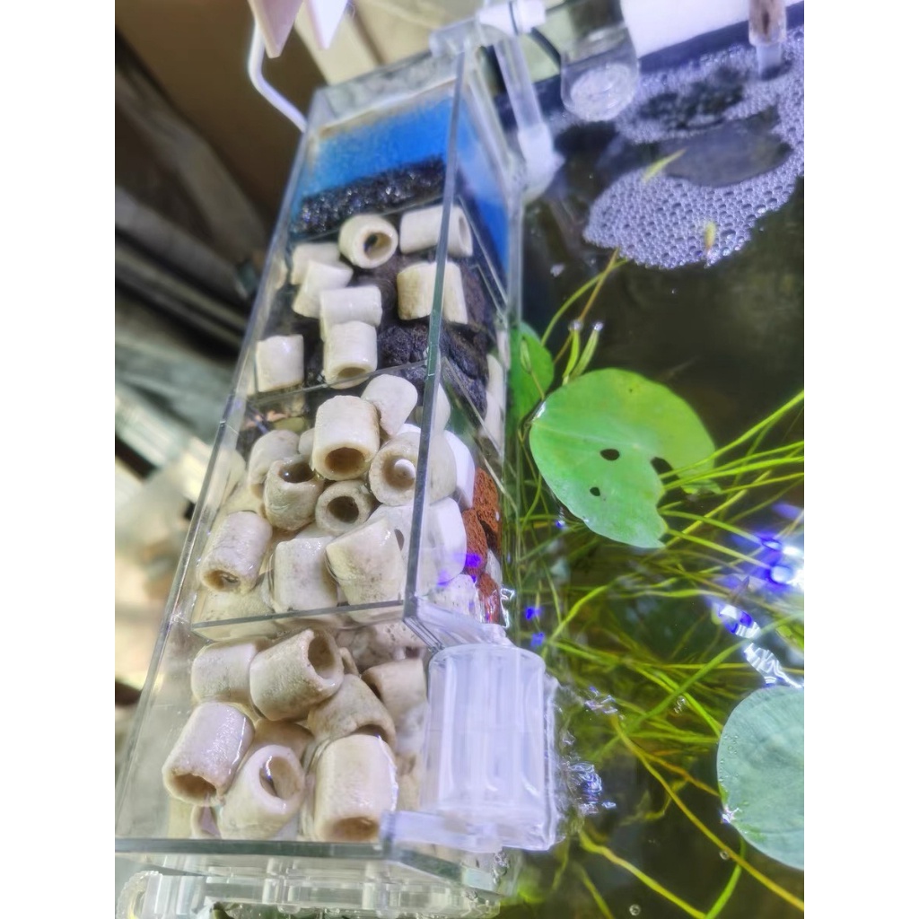 Lọc Tràn Jeneca Kèm Máy Bơm Có Móc Treo Tiện Lợi, Gác hoặc Treo Thành Hồ Cá, Hồ Mini