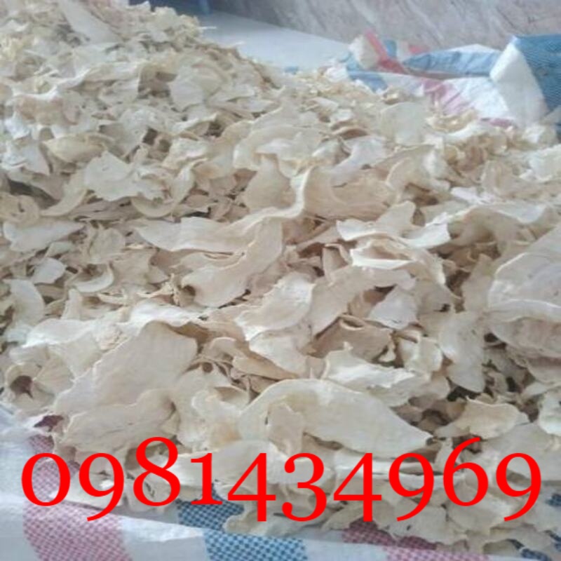 Sâm Tố Nữ Nguyên Củ Tươi  01KG Sạch