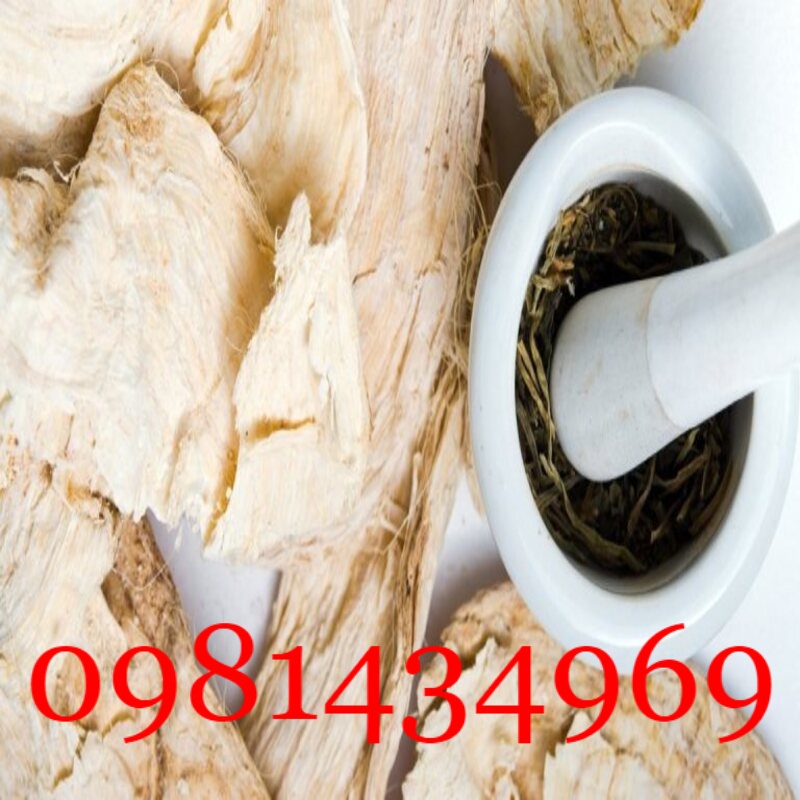 Sâm Tố Nữ Nguyên Củ Tươi  01KG Sạch