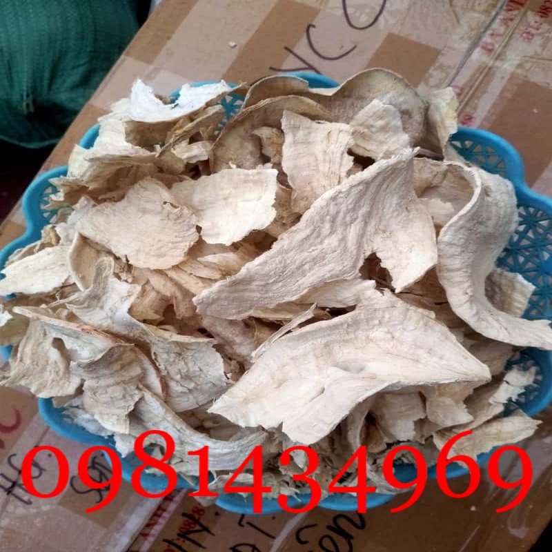 Sâm Tố Nữ Nguyên Củ Tươi  01KG Sạch
