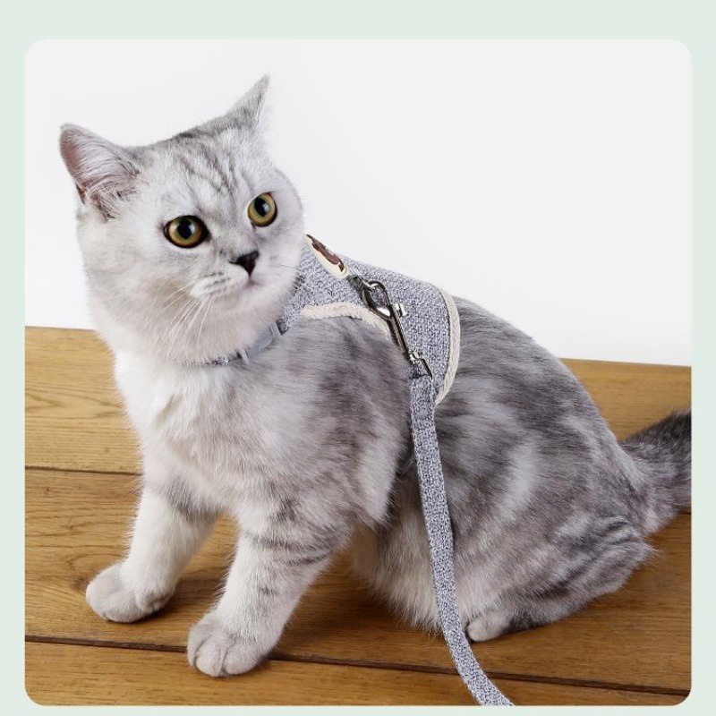 Dây dắt cho chó mèo kèm yếm cao cấ Dây kéo vật nuôi Dây Dắt Thú Cưng Đi Dạo Điều Chỉnh Được