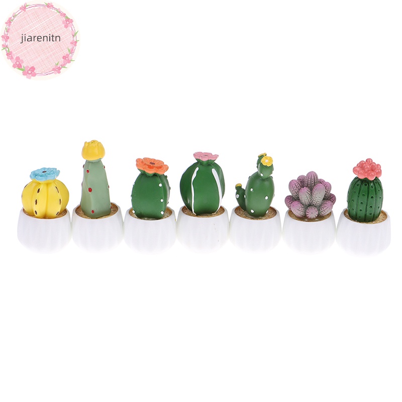 Jiarenitn Chậu Cây Xương Rồng Nhỏ Dễ Thương Trang Trí Nội Thất Xe Hơi vn