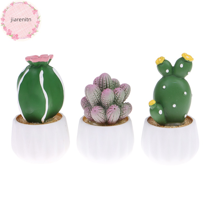 Jiarenitn Chậu Cây Xương Rồng Nhỏ Dễ Thương Trang Trí Nội Thất Xe Hơi vn