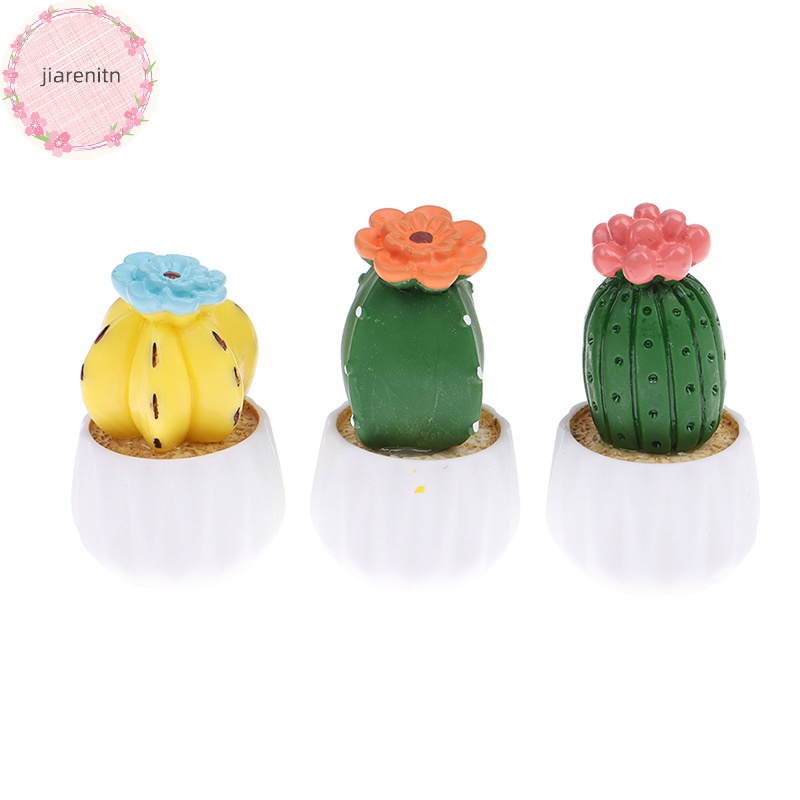 Jiarenitn Chậu Cây Xương Rồng Nhỏ Dễ Thương Trang Trí Nội Thất Xe Hơi vn