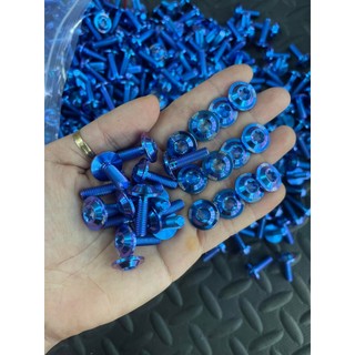 Ốc 6ly20mm titan gr5 chữ proti , body bolt titanium