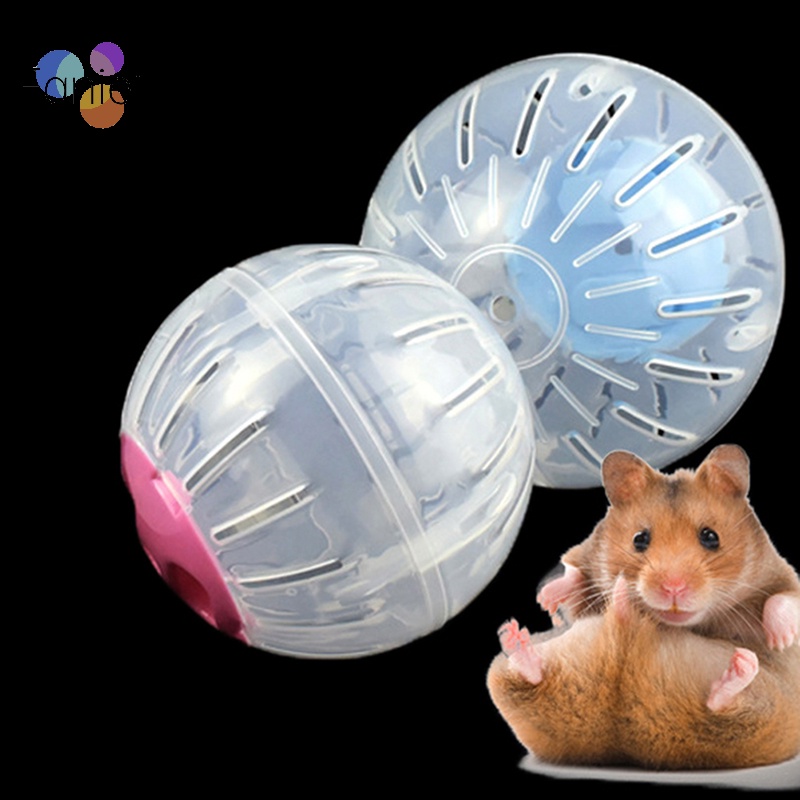 Đồ Chơi Bóng Chạy Bằng Nhựa Nhỏ Cho Chuột hamster