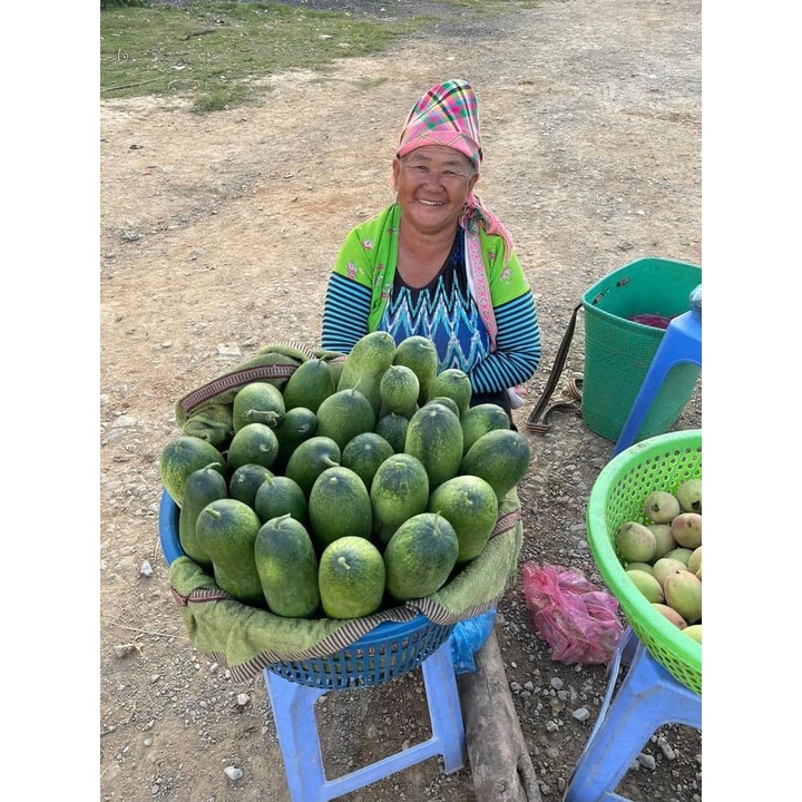 Hạt giống dưa chuột mèo gói 200 hạt