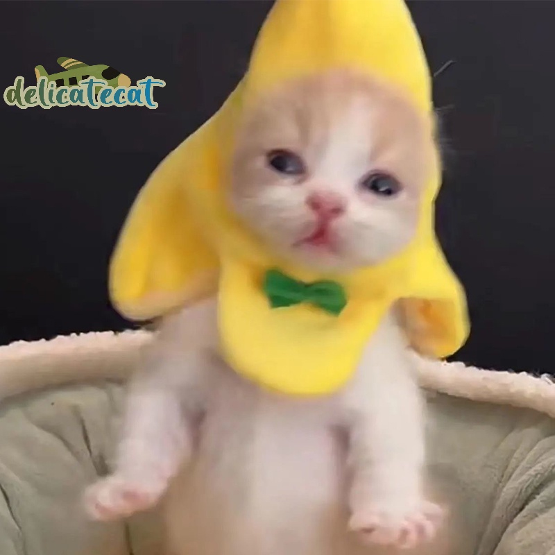 Mũ Trùm Đầu Hóa Trang Quả Chuối Bằng Vải Lông Sáng Tạo Dễ Thương Dành Cho Mèo Cưng