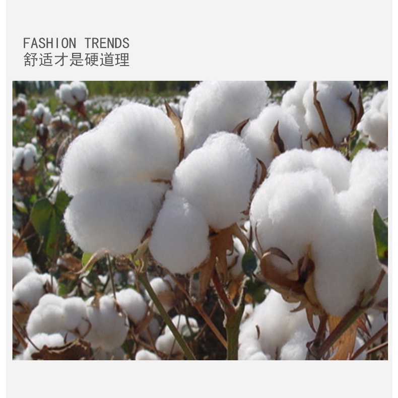 Áo Thun Tay Dài Chui Đầu Vải Nhung Ấm Áp In Họa Tiết Hoạt Hình Phong Cách Đức Thời Trang Thu Đông Cho Bé Kích Thước 70-150cm