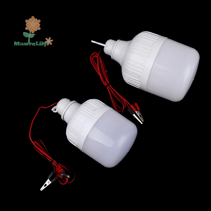 Lily Bóng Đèn led Khuếch Đại Âm Thanh 12v 20w 30w