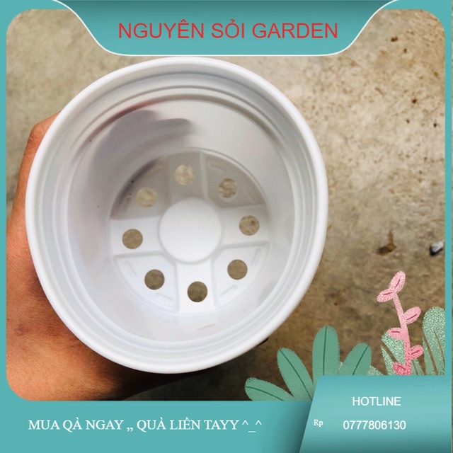 Chậu nhựa 10cm