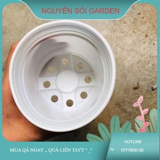 Chậu nhựa 10cm