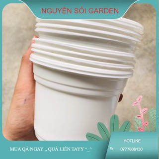 Chậu nhựa 10cm