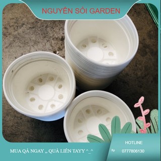 Chậu nhựa 10cm