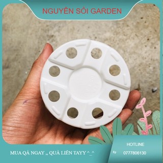 Chậu nhựa 10cm