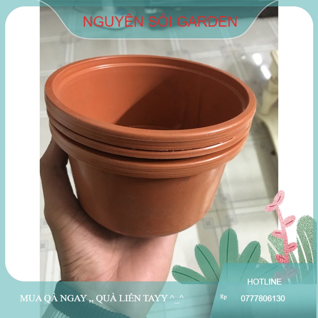 chậu nhựa trồng sen
